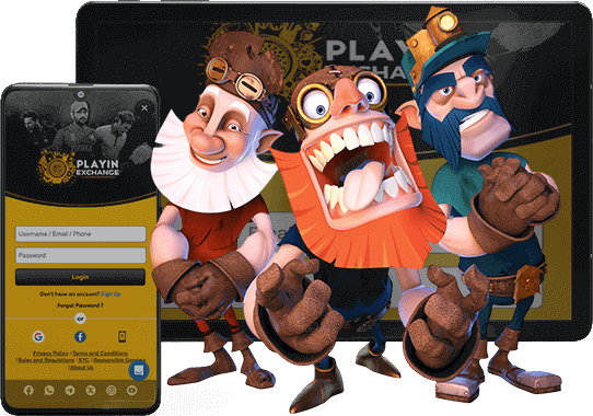 Playin Exchange Login in India